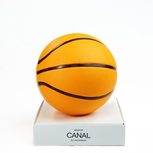 Pilota de bàsquet